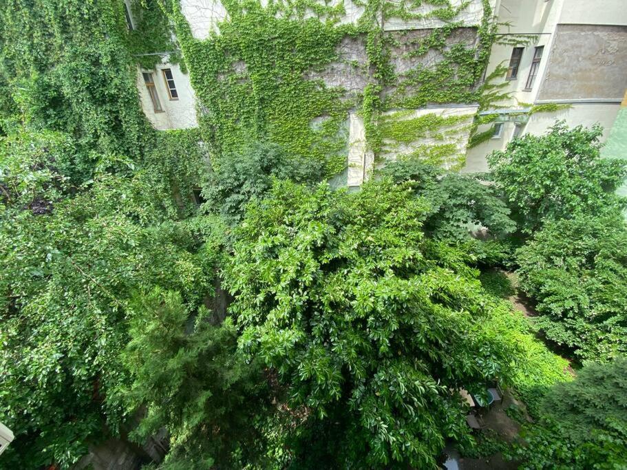 Raday Street, Spacious, Modern Apartment Budapest Ngoại thất bức ảnh